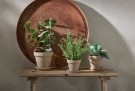 Mr Plant - Grønn Plante, 20cm thumbnail