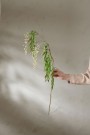 Mr Plant - Hengende Bærkvist, 75cm thumbnail