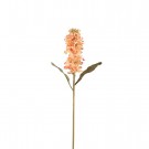 Mr Plant - Levkøy Oransje, 53cm thumbnail