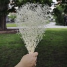 Floradekor - Mini Baby´s Breath, Glitter thumbnail