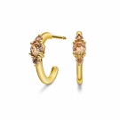 Pan Jewelry - Rio Radiance øredobber i forgylt sølv med champagnefarget zirkonia thumbnail