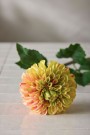 Mr Plant - Dahlia, 90cm thumbnail