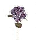 Mr Plant - Hortensia Blå/Lilla, 65cm thumbnail