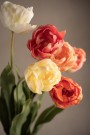 Mr Plant - Tulipan Rosa, 67cm thumbnail