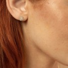 Pan Jewelry - Kløver Øredobber i gull med zirkonia thumbnail