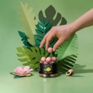Lakrids by Bülow - SUMMER Pink Pineapple, Small thumbnail