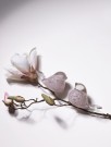 Magnor - Lucky Bird, Rosa thumbnail