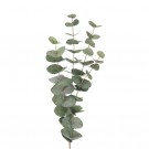 Mr Plant - Eucalyptus Grønn, 60cm thumbnail