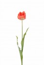 Mr Plant - Tulipan Oransje, 67cm thumbnail