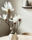Mr Plant - Magnolia, 50cm thumbnail