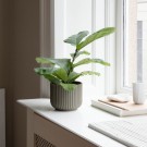 Lyngby - Potte Medium, Olivengrønn thumbnail