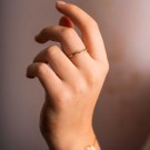 Pan Jewelry - Friendship Ring i forgylt sølv med zirkonia thumbnail