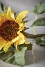 Mr Plant - Solsikke, 70cm thumbnail