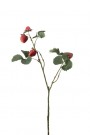 Mr Plant - Jordbærkvist, 50cm thumbnail