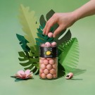 Lakrids by Bülow - SUMMER Pink Pineapple, Regular thumbnail