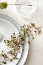 Aida - Relief Frokosttallerken Hvit 23cm, 4stk thumbnail