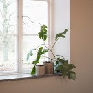 DBKD - Flowery Pot Small, Beige thumbnail