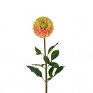 Mr Plant - Dahlia, 90cm thumbnail