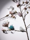 Magnor - Lucky Bird, Rosa thumbnail