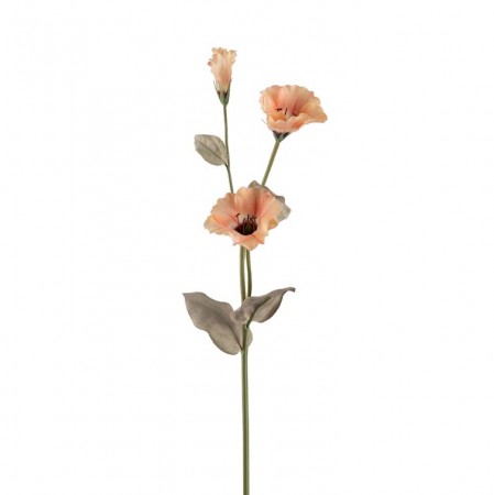Mr Plant - Prærieklokke Gul, 60cm