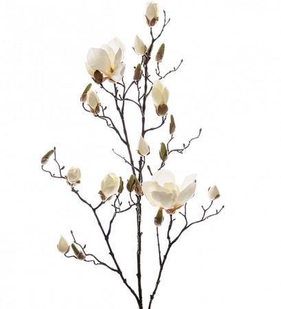 Mr Plant - Magnolia Hvit, 110cm