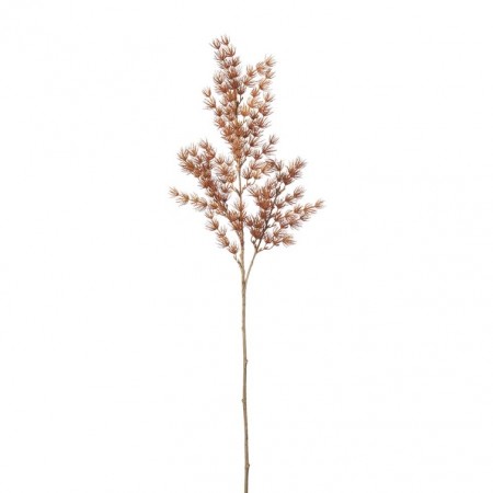 Mr Plant - Asparagus Oransje, 75cm