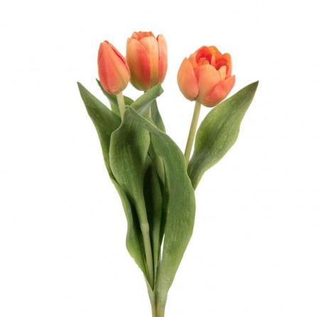 Mr Plant - Tulipan Oransje, 36cm