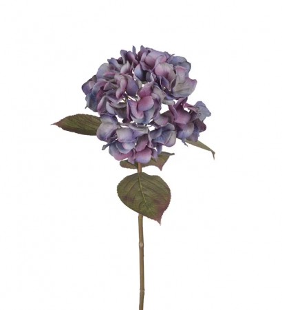 Mr Plant - Hortensia Blå/Lilla, 65cm