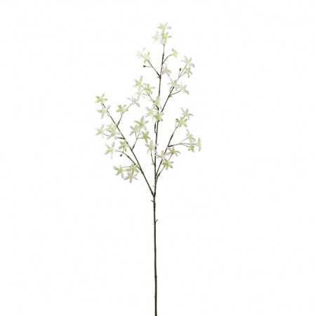 Mr Plant - Sildreblomst Grønn/Hvit, 75cm