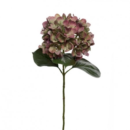 Mr Plant - Hortensia Rød, 65cm