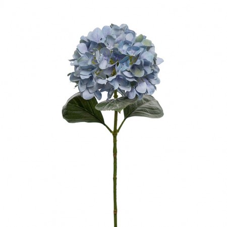 Mr Plant - Hortensia Blå, 65cm