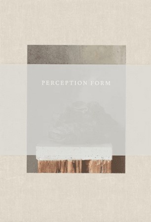 New Mags - Perception Form Book