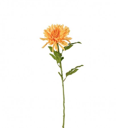 Mr Plant - Chrysanthemum Oransje, 60cm