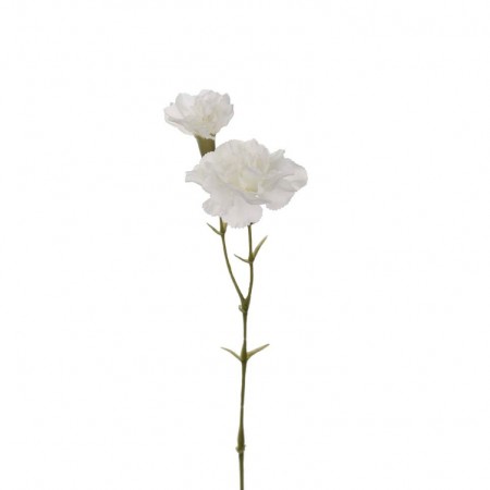 Mr Plant - Nellik Hvit, 31cm