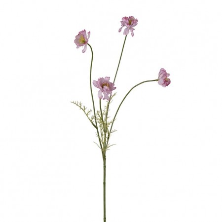 Mr Plant - Cosmos Rosa, 55cm