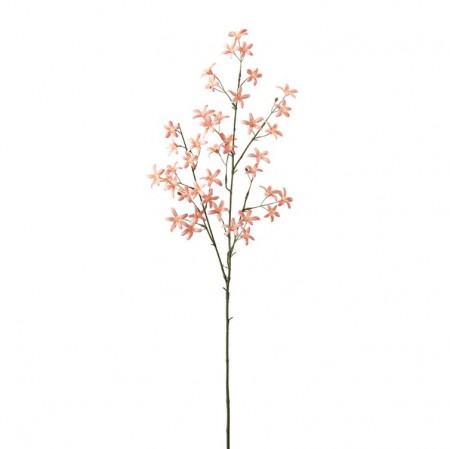 Mr Plant - Sildreblomst Fersken, 75cm