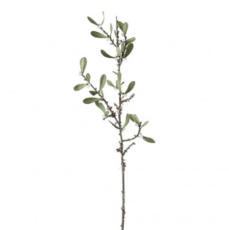 Mr Plant - Misteltein gren, 65cm