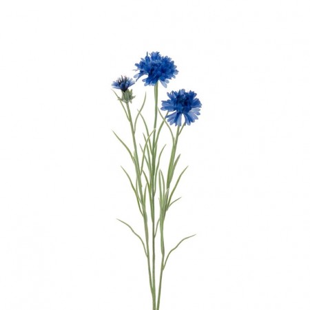 Mr Plant - Kornblomst Blå, 65cm