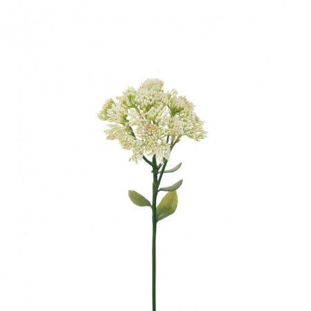 Mr Plant - Smørbukk Hvit, 50cm