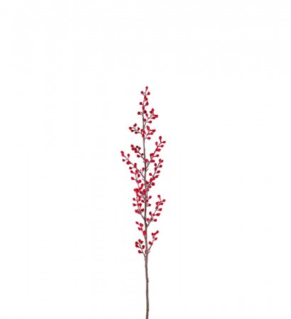 Mr Plant - Bærkvist rød, 70cm
