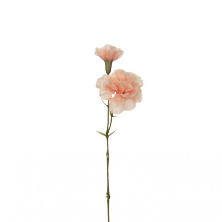 Mr Plant - Nellik Fersken, 31cm