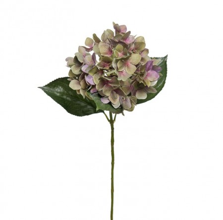 Mr Plant - Hortensia Lilla, 65cm