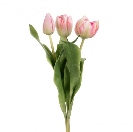 Mr Plant - Tulipan Rosa/Hvit, 36cm