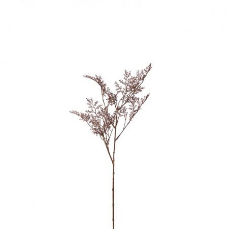 Mr Plant - Limoniumskvist Brun, 65cm
