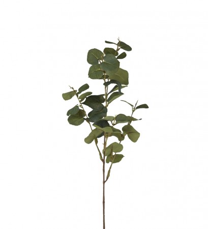 Mr Plant - Eucalyptus Grønn, 70cm
