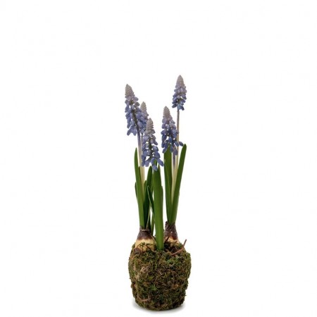 Mr Plant - Perleblomst Blå, 25cm